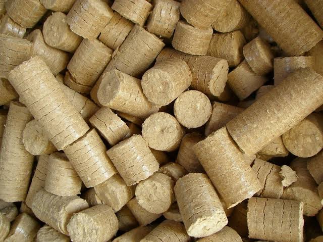 Eco-Friendly Briquettes